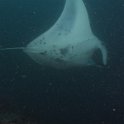 20171111-IMG_5357