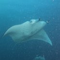 20171117-IMG_5474