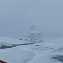 20190711_019_IPX Ice bear