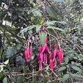 IMG_4580