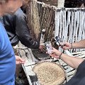 IMG_4581